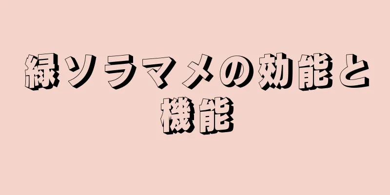 緑ソラマメの効能と機能