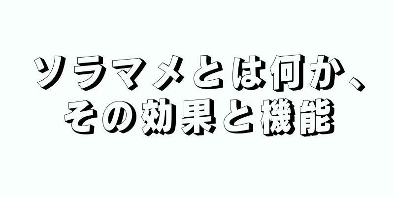 ソラマメとは何か、その効果と機能