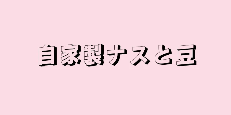 自家製ナスと豆