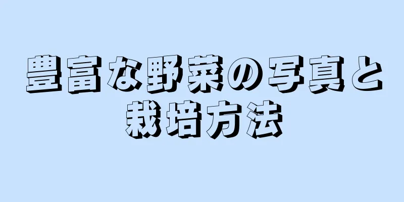 豊富な野菜の写真と栽培方法