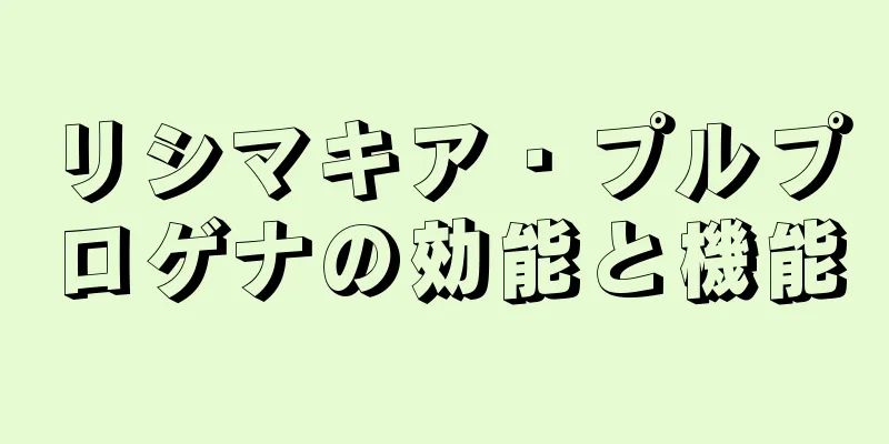リシマキア・プルプロゲナの効能と機能