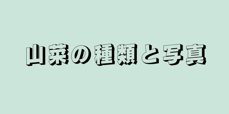 山菜の種類と写真