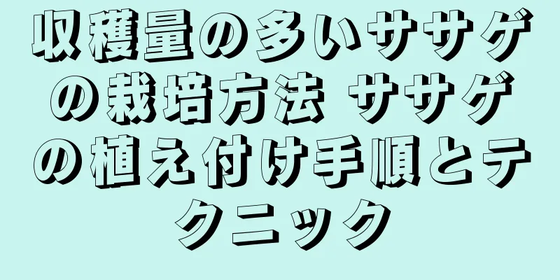 収穫量の多いササゲの栽培方法 ササゲの植え付け手順とテクニック