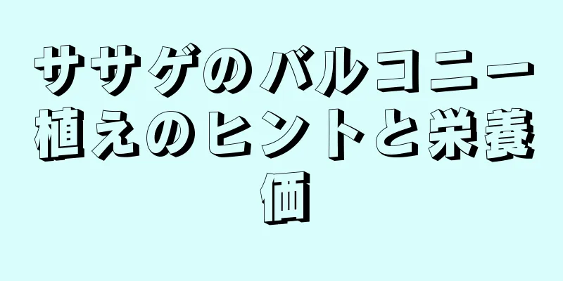 ササゲのバルコニー植えのヒントと栄養価