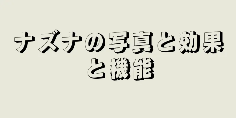 ナズナの写真と効果と機能