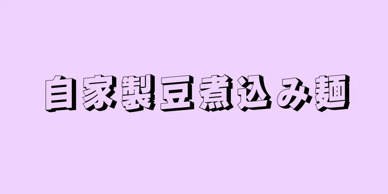 自家製豆煮込み麺