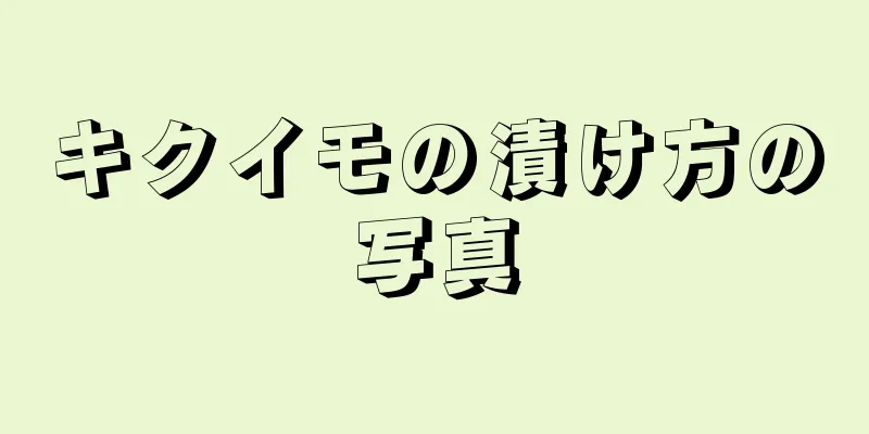 キクイモの漬け方の写真