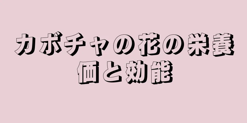 カボチャの花の栄養価と効能