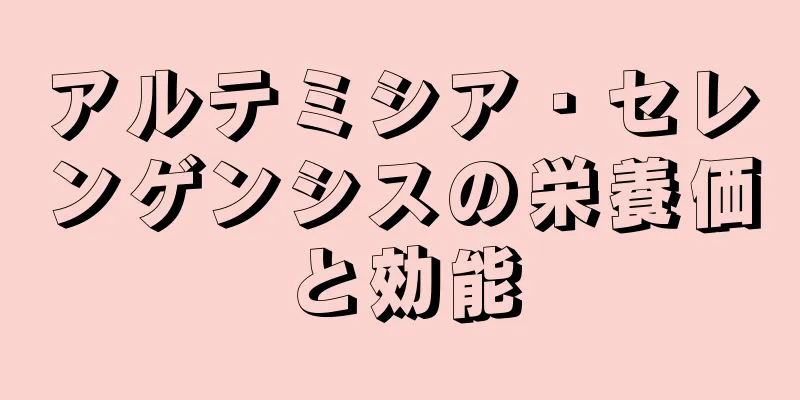 アルテミシア・セレンゲンシスの栄養価と効能