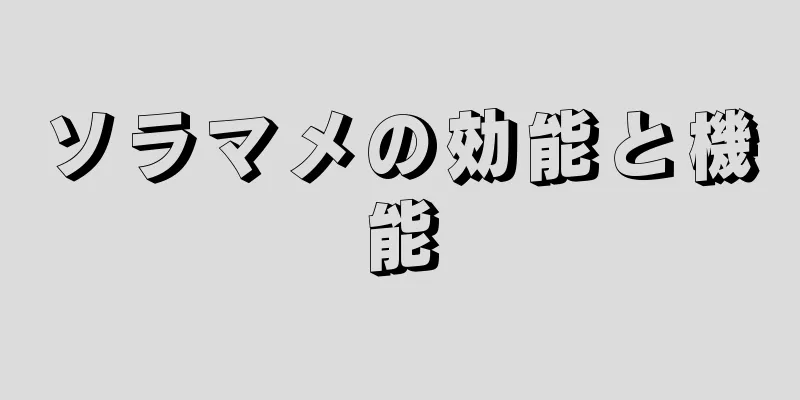 ソラマメの効能と機能
