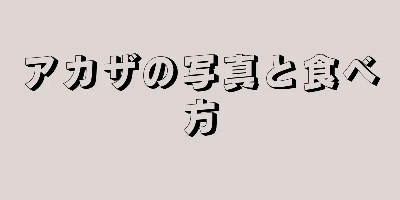 アカザの写真と食べ方