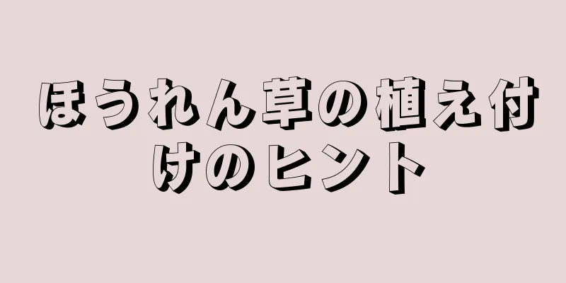 ほうれん草の植え付けのヒント