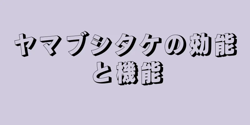 ヤマブシタケの効能と機能