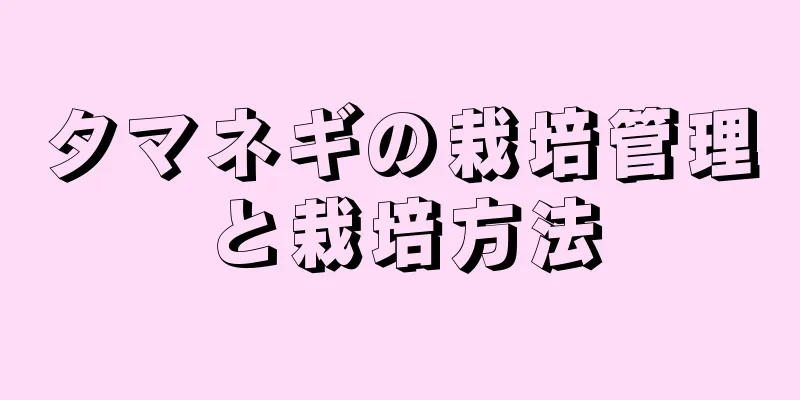 タマネギの栽培管理と栽培方法