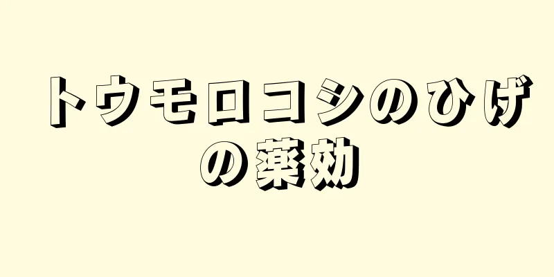 トウモロコシのひげの薬効