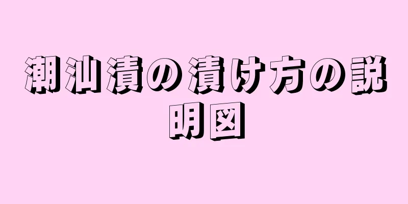 潮汕漬の漬け方の説明図