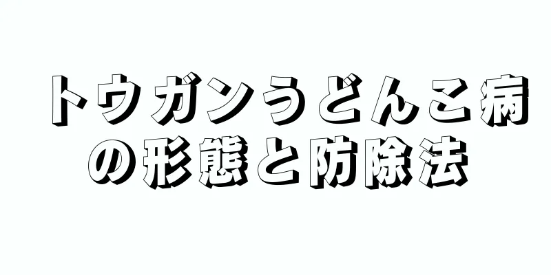 トウガンうどんこ病の形態と防除法
