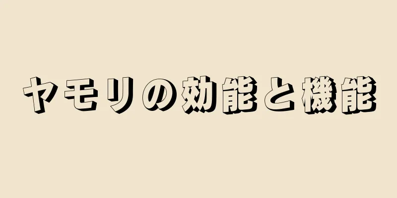 ヤモリの効能と機能