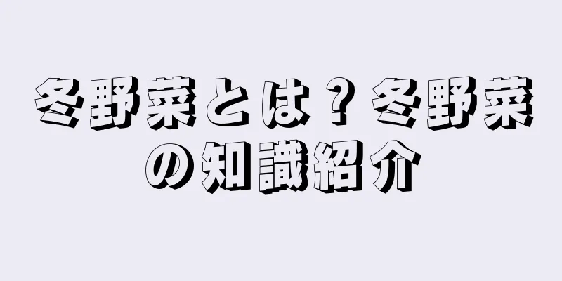 冬野菜とは？冬野菜の知識紹介