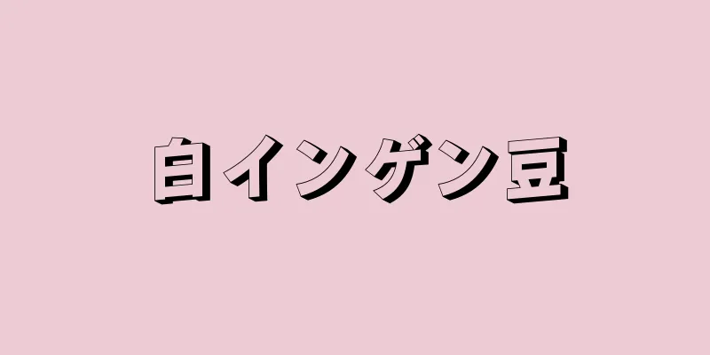 白インゲン豆