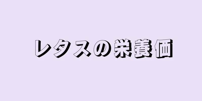 レタスの栄養価