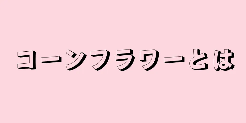 コーンフラワーとは