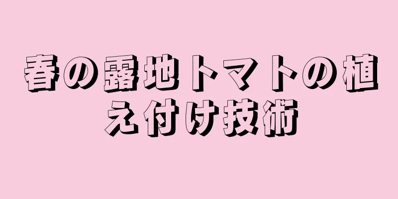 春の露地トマトの植え付け技術