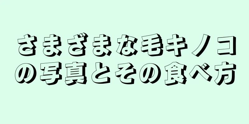 さまざまな毛キノコの写真とその食べ方
