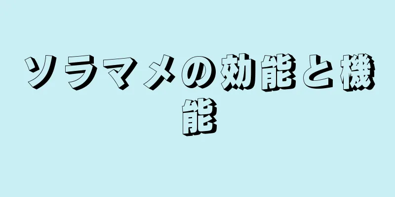 ソラマメの効能と機能