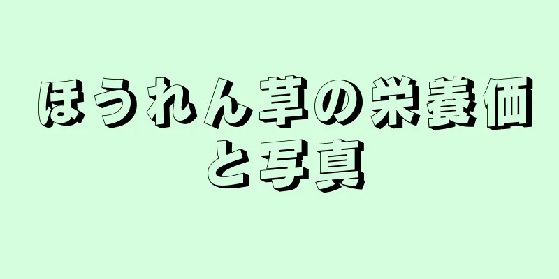 ほうれん草の栄養価と写真