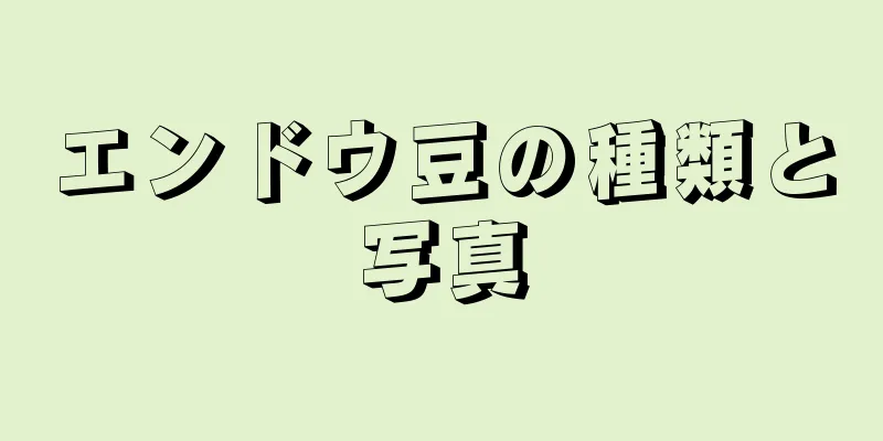 エンドウ豆の種類と写真