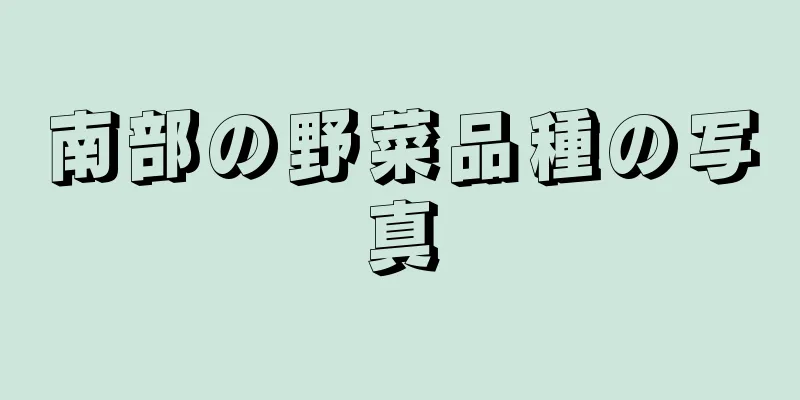 南部の野菜品種の写真