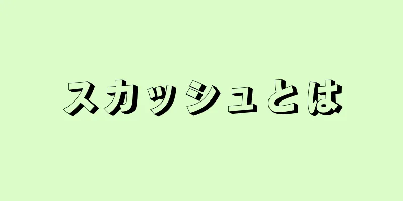 スカッシュとは