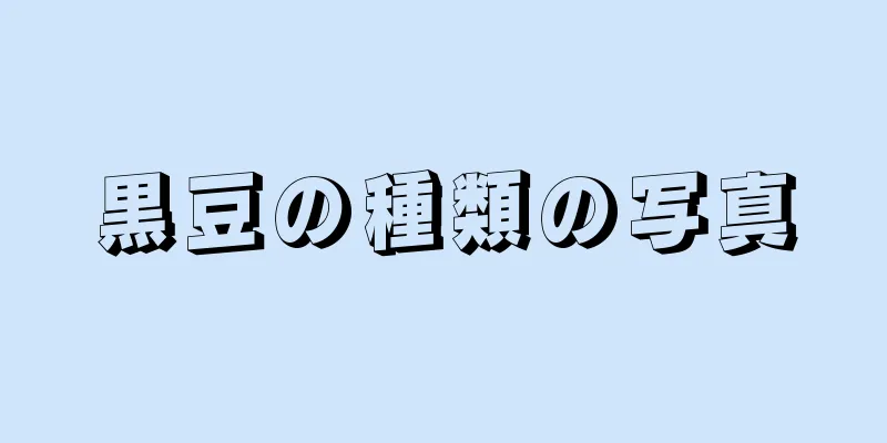 黒豆の種類の写真