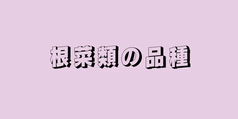 根菜類の品種