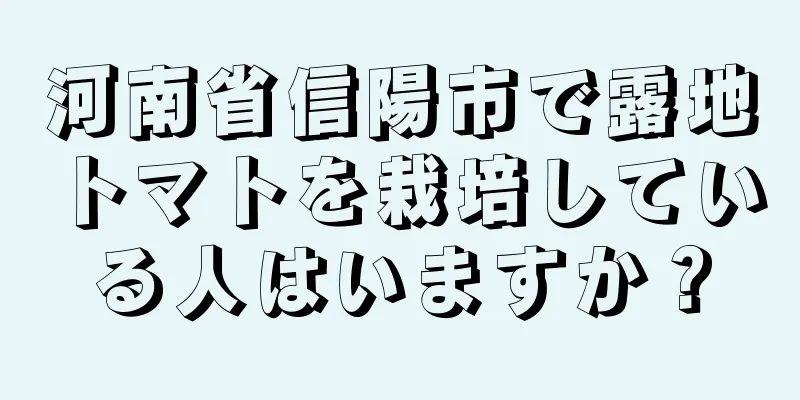 河南省信陽市で露地トマトを栽培している人はいますか？