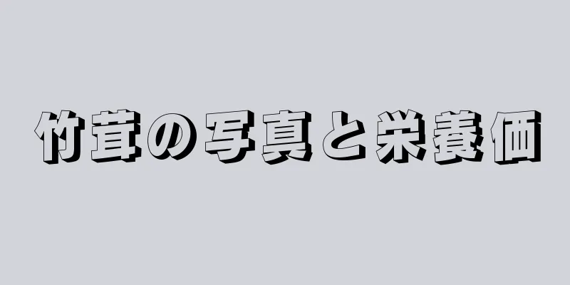 竹茸の写真と栄養価