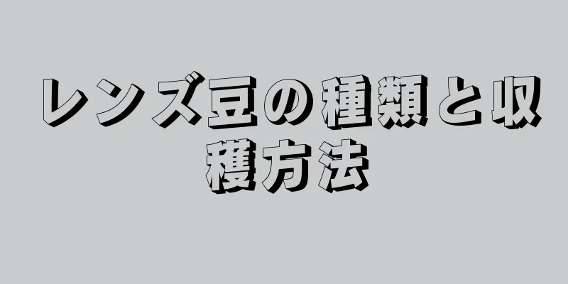 レンズ豆の種類と収穫方法