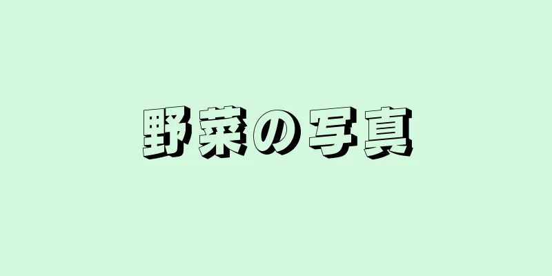 野菜の写真