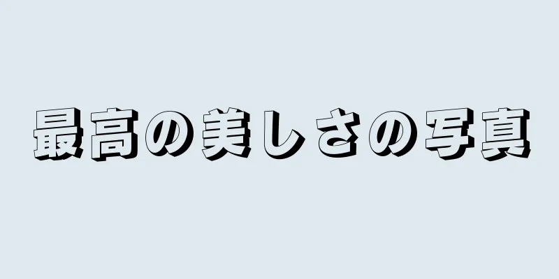 最高の美しさの写真