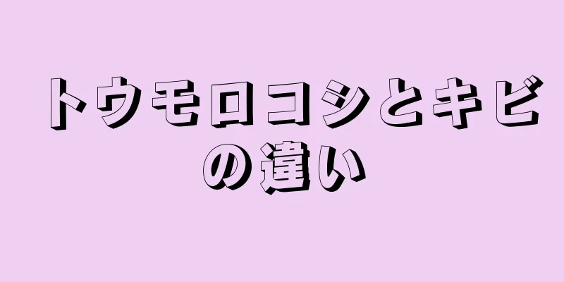 トウモロコシとキビの違い