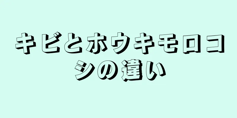 キビとホウキモロコシの違い