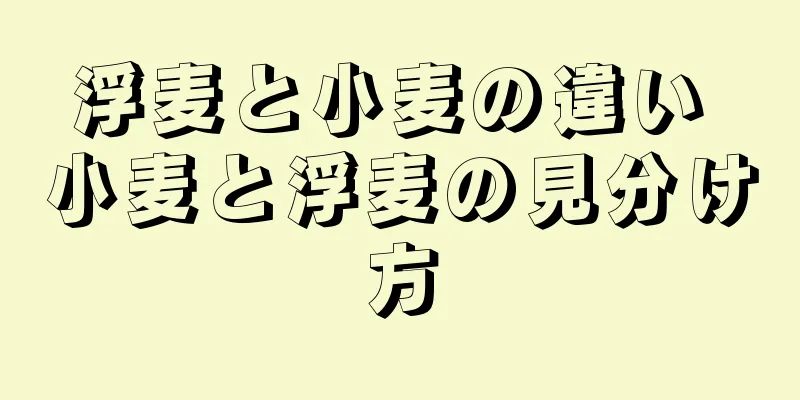 浮麦と小麦の違い 小麦と浮麦の見分け方