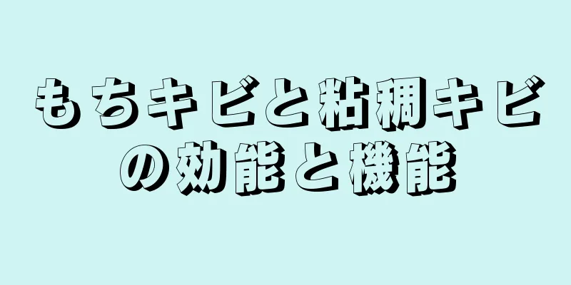 もちキビと粘稠キビの効能と機能