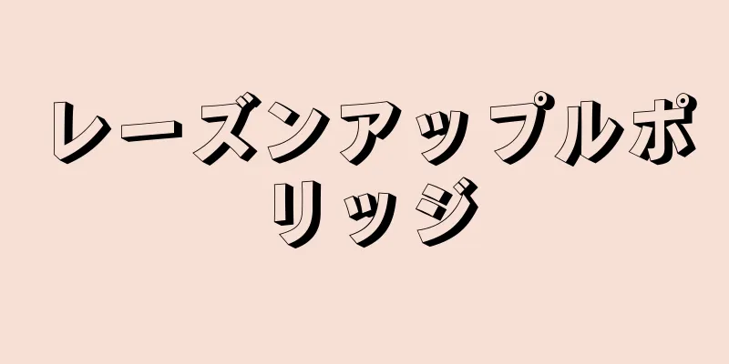 レーズンアップルポリッジ