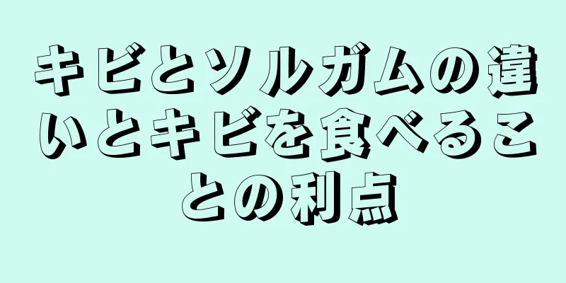 キビとソルガムの違いとキビを食べることの利点