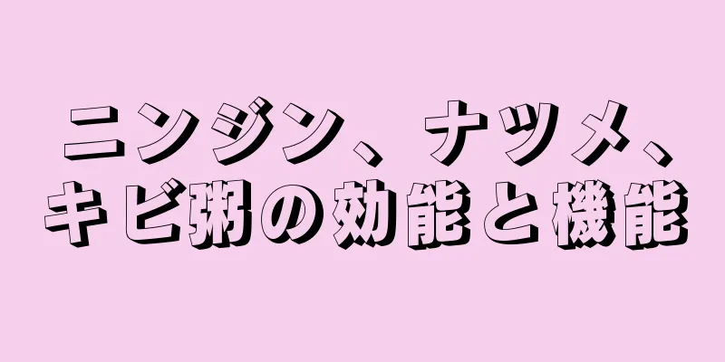 ニンジン、ナツメ、キビ粥の効能と機能