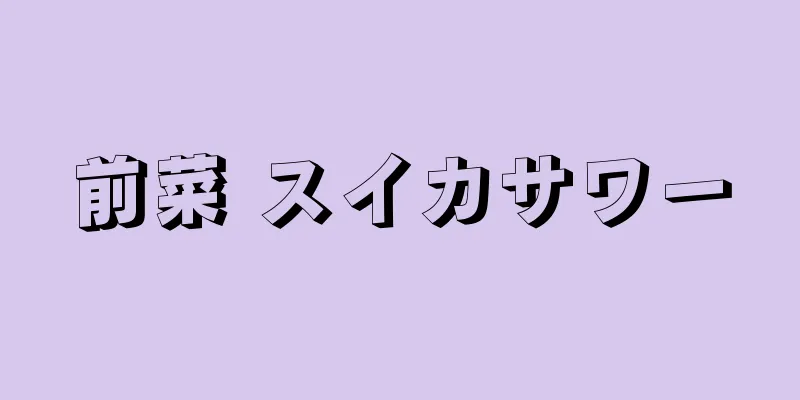 前菜 スイカサワー