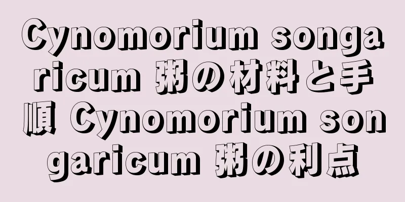 Cynomorium songaricum 粥の材料と手順 Cynomorium songaricum 粥の利点
