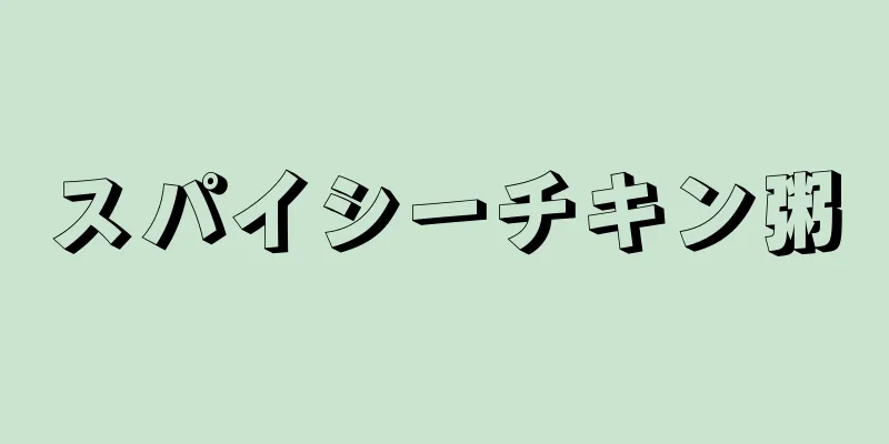 スパイシーチキン粥